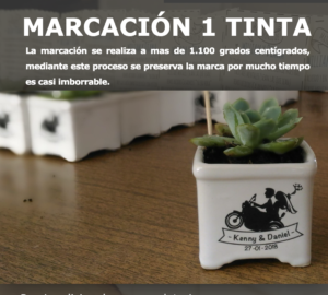 tallertata7
